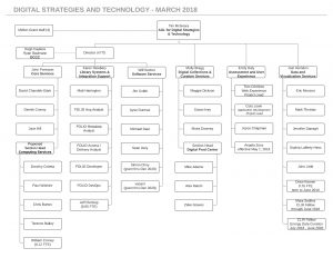 Digital Strategies and Technology organizational chart