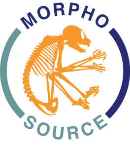 MorphoSource logo
