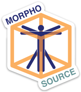 MorphoSource logo
