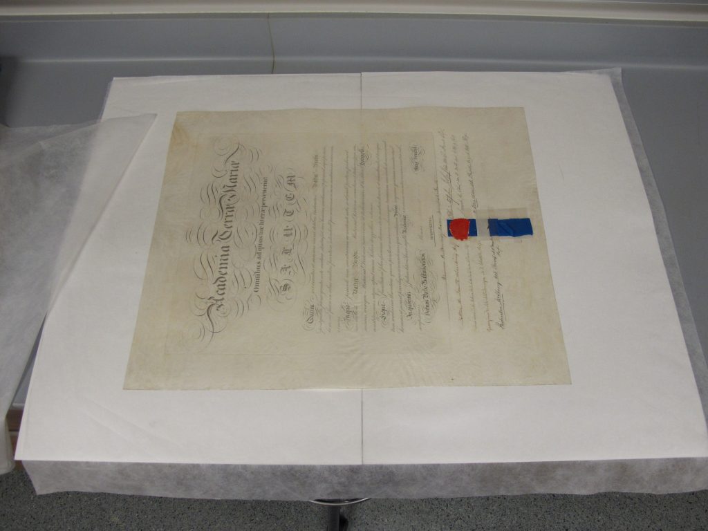 Flattened parchment document