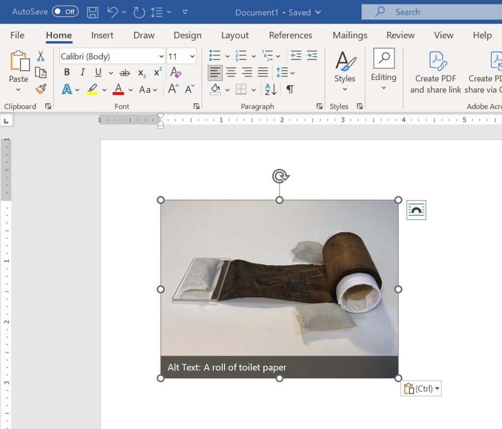 MS Word automatic alt text generation identifies scroll as toilet paper