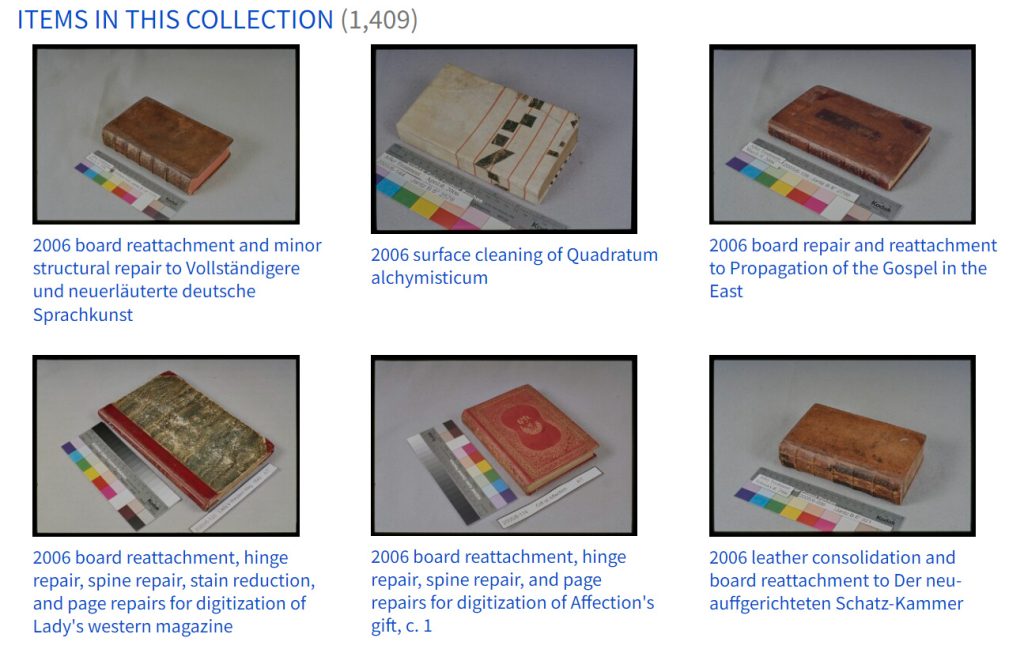 Browsing interface of the Conservation Documentation Archive showing a grid of thumbnail images and descriptions of each treatment