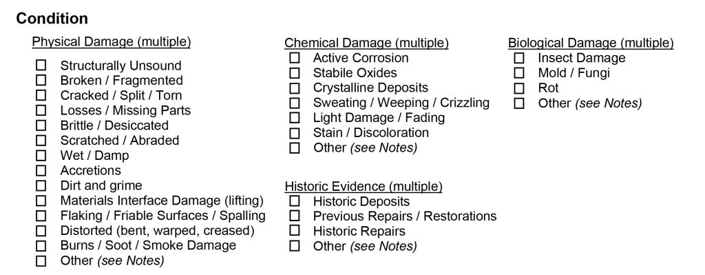 a checkbox form of various condition issues for objects, physical damage, chemical damage, biological damage, historic evidence