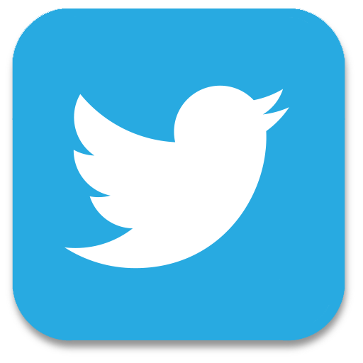 Image result for twitter icon for website