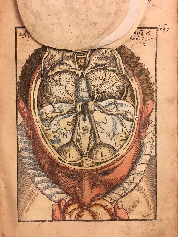 Color photo of movable flap illustration from Ophthalmodouleia, das ist Augendienst showing the interior of the head.