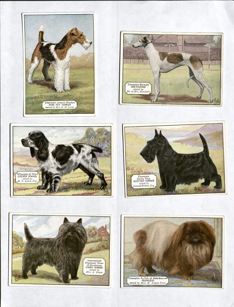 Scan showing six trading cards each illustrated with a different breed of dog