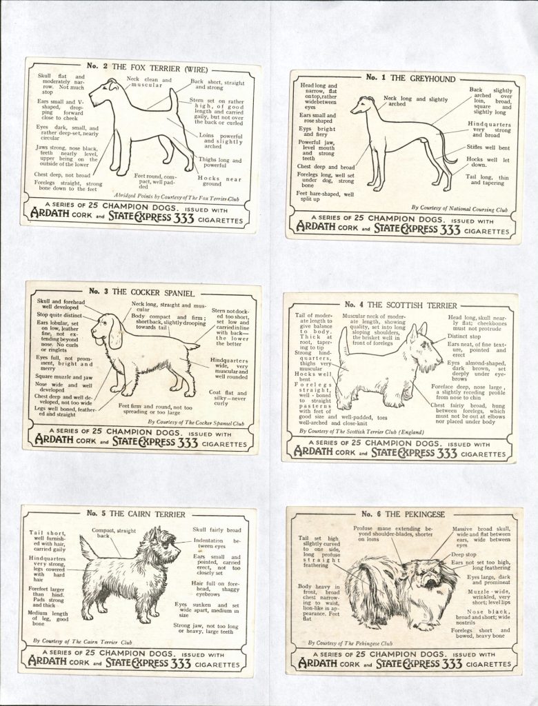 Reverse of trading cards show in the previous image, with a black and white outline of each dogs and text describing their features