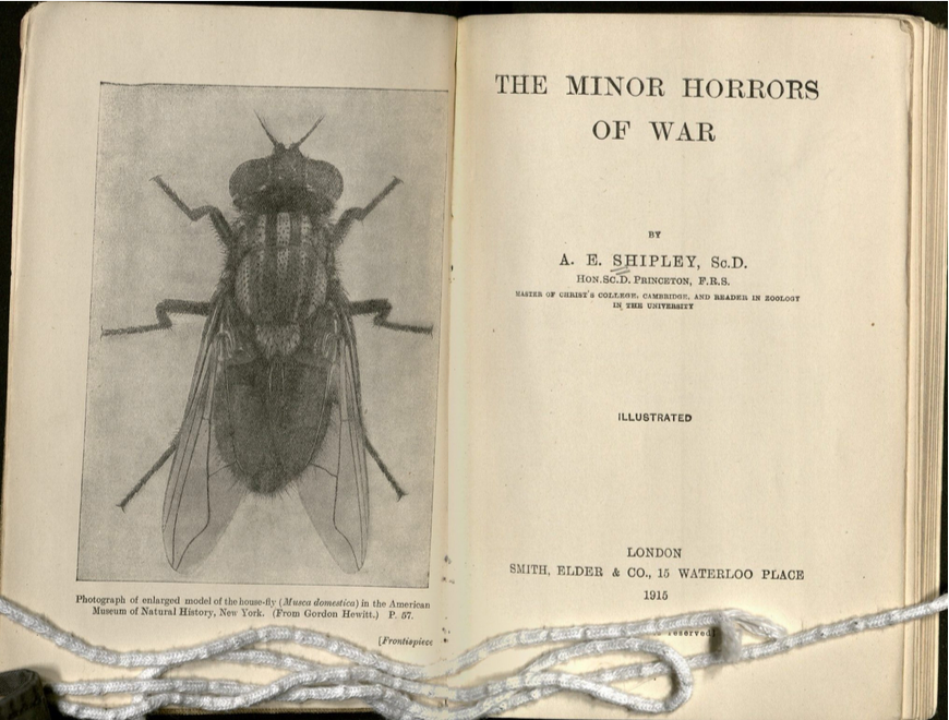 Two page spread of book showing title page and frontispiece. The frontispiece is an enlarged illustration showing a fly. 