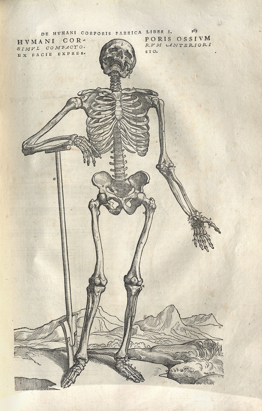 Black-and-white illustration of a skeleton leaning on a shovel. Its skull is tilted back and its mouth is open. There is a mountainous landscape behind it.