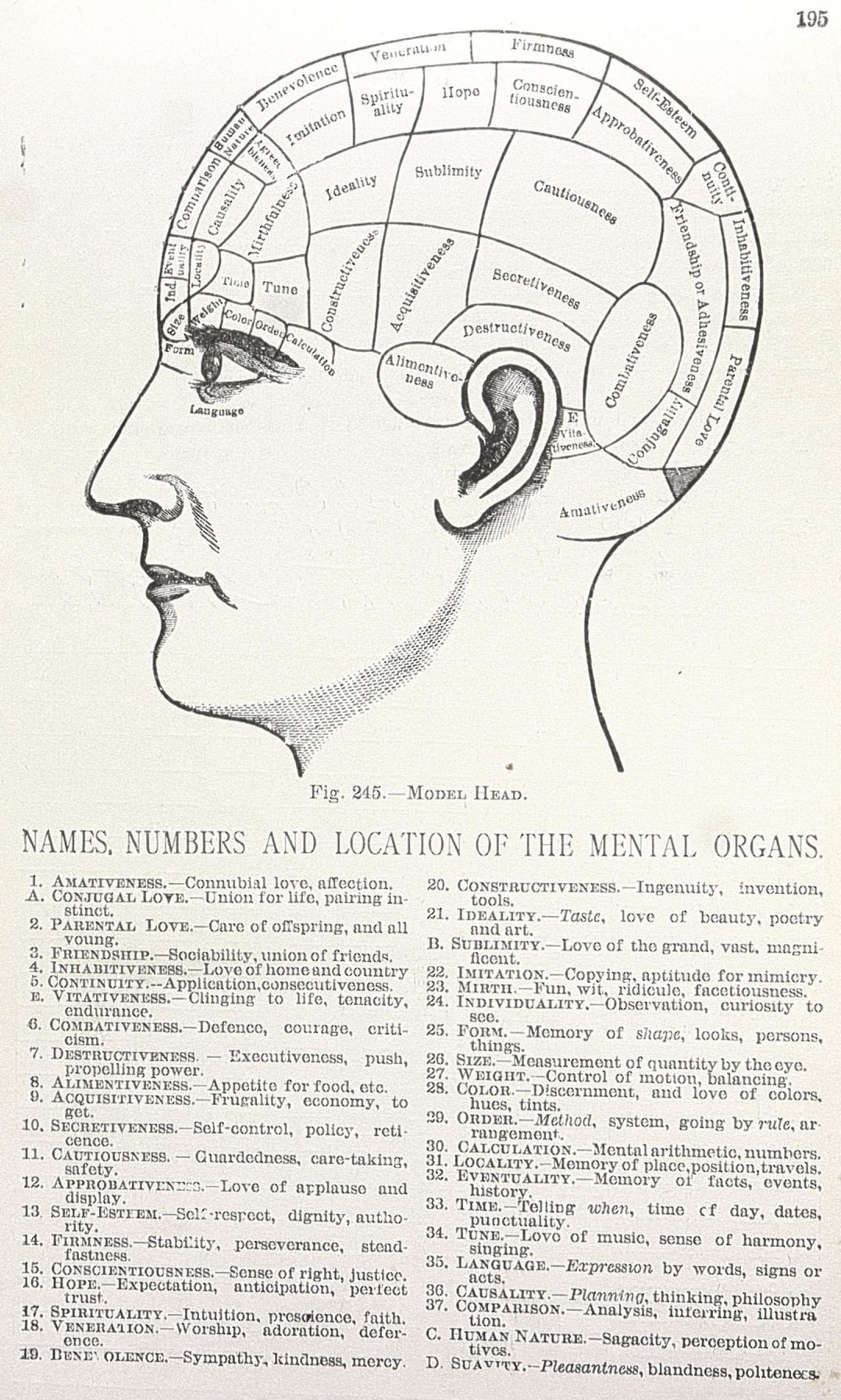 Outline of a human head showing the locations of the mental organs. Below the head are brief descriptions of each mental organ. 