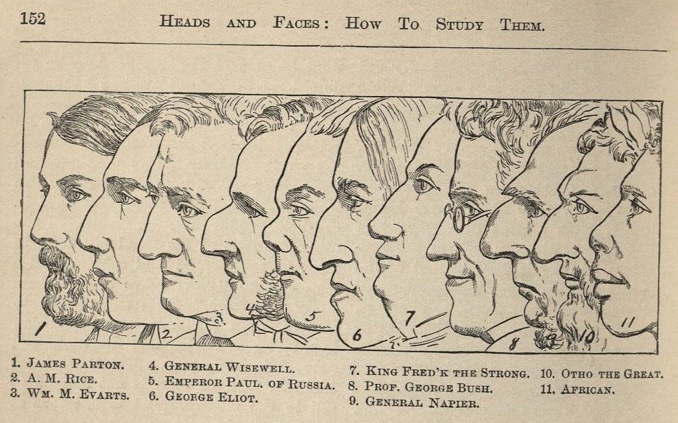 Illustration of eleven facial profiles shown in row. 