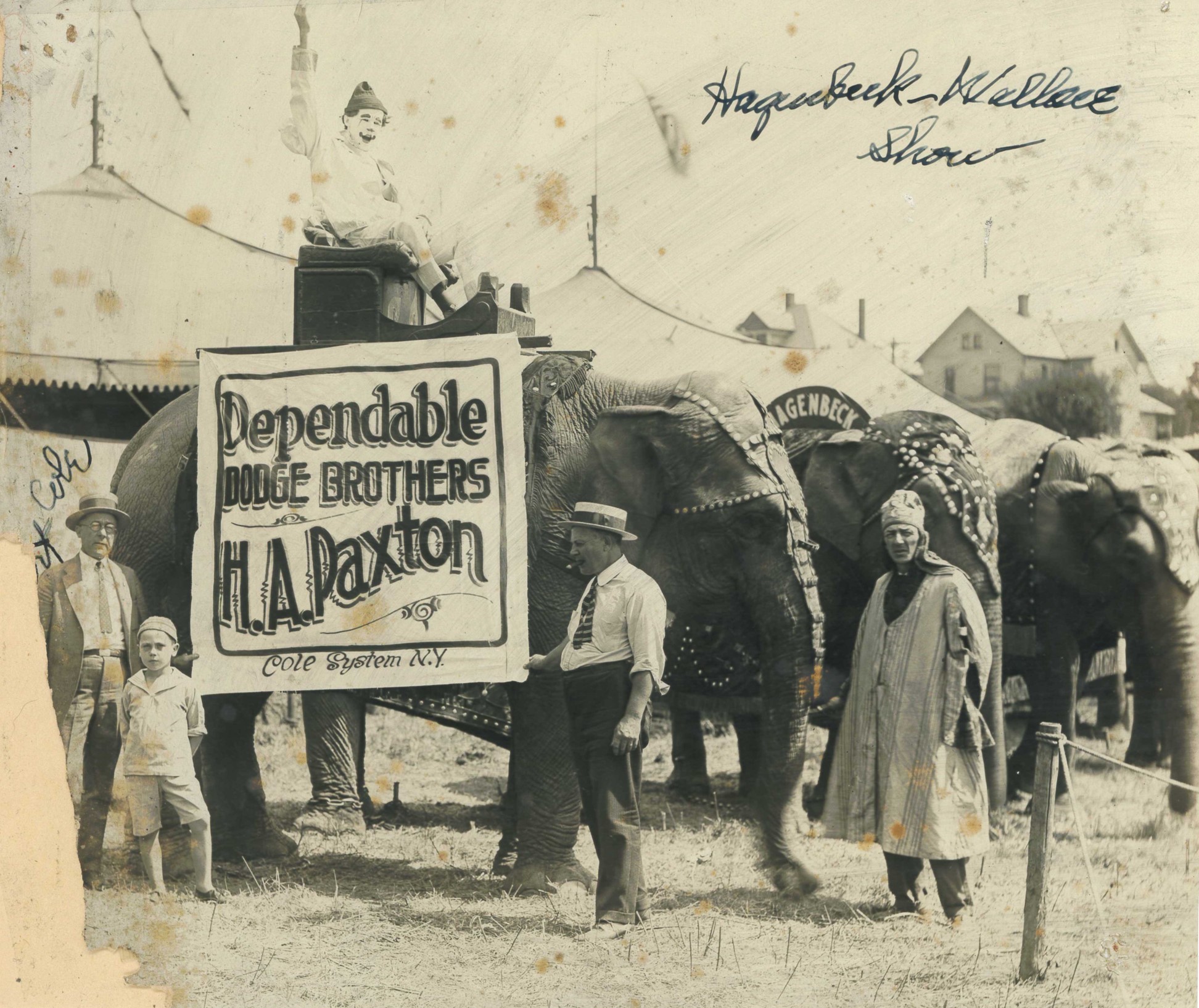 Black and white photograph of three circus elephants posed in front of a row of white circus tents. A clown sits atop the one of the elephants and that elephants also wears a white, cloth sign reading "Dependable Dodge Brothers, H.A. Paxton." 