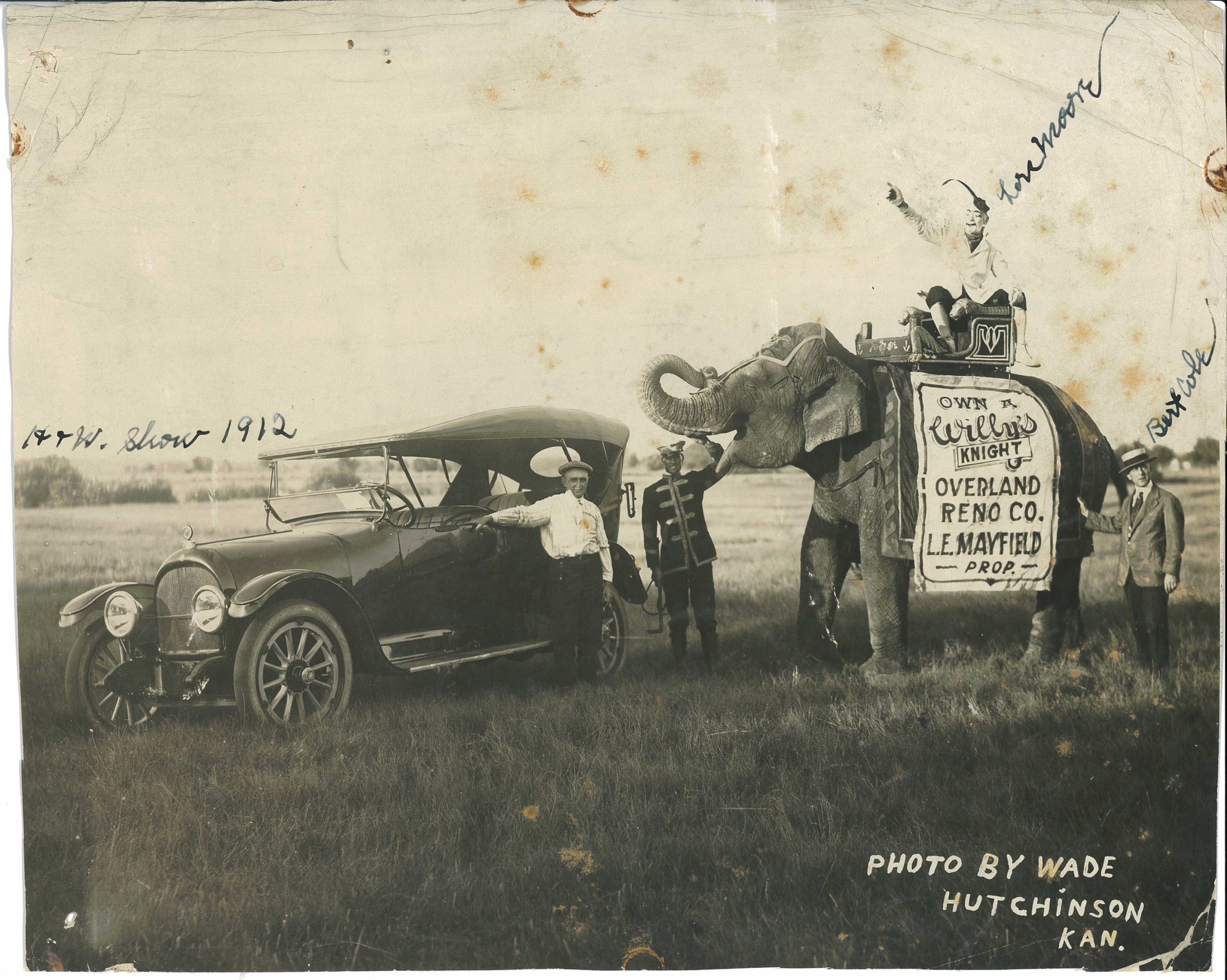 Black and white photograph of an elephant in a grassy field standing next to a black car. The elephant wears a white sign reading "Own a Willy's Knight." A clown in makeup and costume rides the elephant and several other men stand around the elephant. 