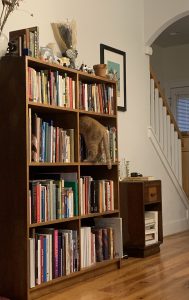 Photo of a set of bookshelves, with an orange cat crawling into them