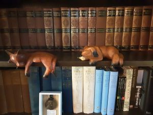 Photo of a bookshelf with sleeping pet statues