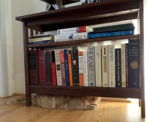 Photo of a bookshelf with an orange cat hiding underneath