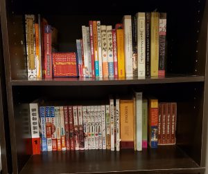 Photo of two shelves of books of varying sizes