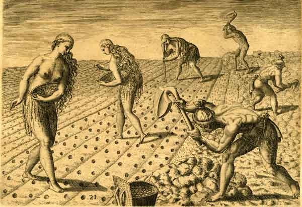 Illustration by Theodor de Bry (1591), showing indigenous Americans in Virginia hand-cultivating and planting fields with maize. One theory holds that the Anthropocene began with the rise of agriculture some 8,000 years ago.