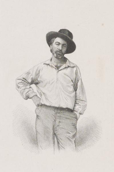 Young Walt Whitman