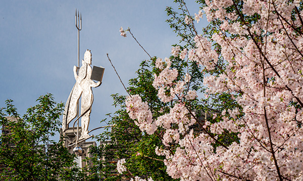 Nationals, Wizards unveil collaborative cherry blossom jerseys : r