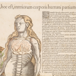 The History of Medicine’s Anatomical Fugitive Sheet Digital Collection - March 9