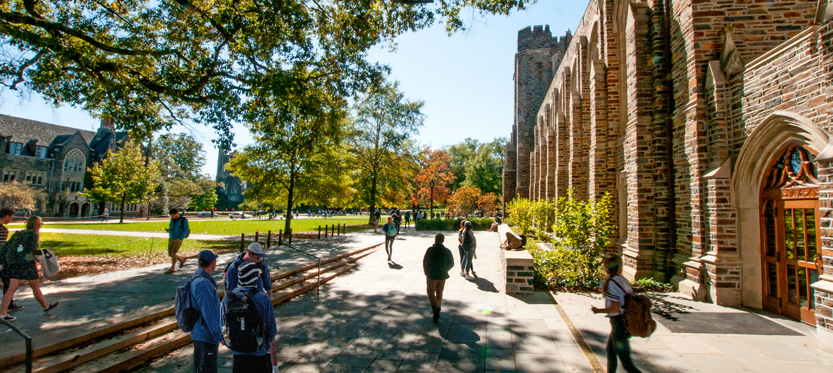 duke library thesis