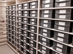 Papyri in their new(ish) boxes in the renovated stacks.