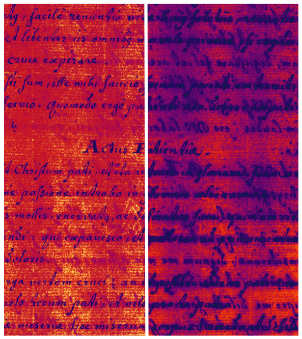 Iron gall ink degredation. Jantz MS#124, Rubenstein Library