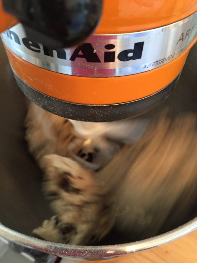 Photograph showing dough being mixed in KitchenAid Mixer